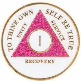 AA Medallion Glow in the Dark Glitter Pink Coin