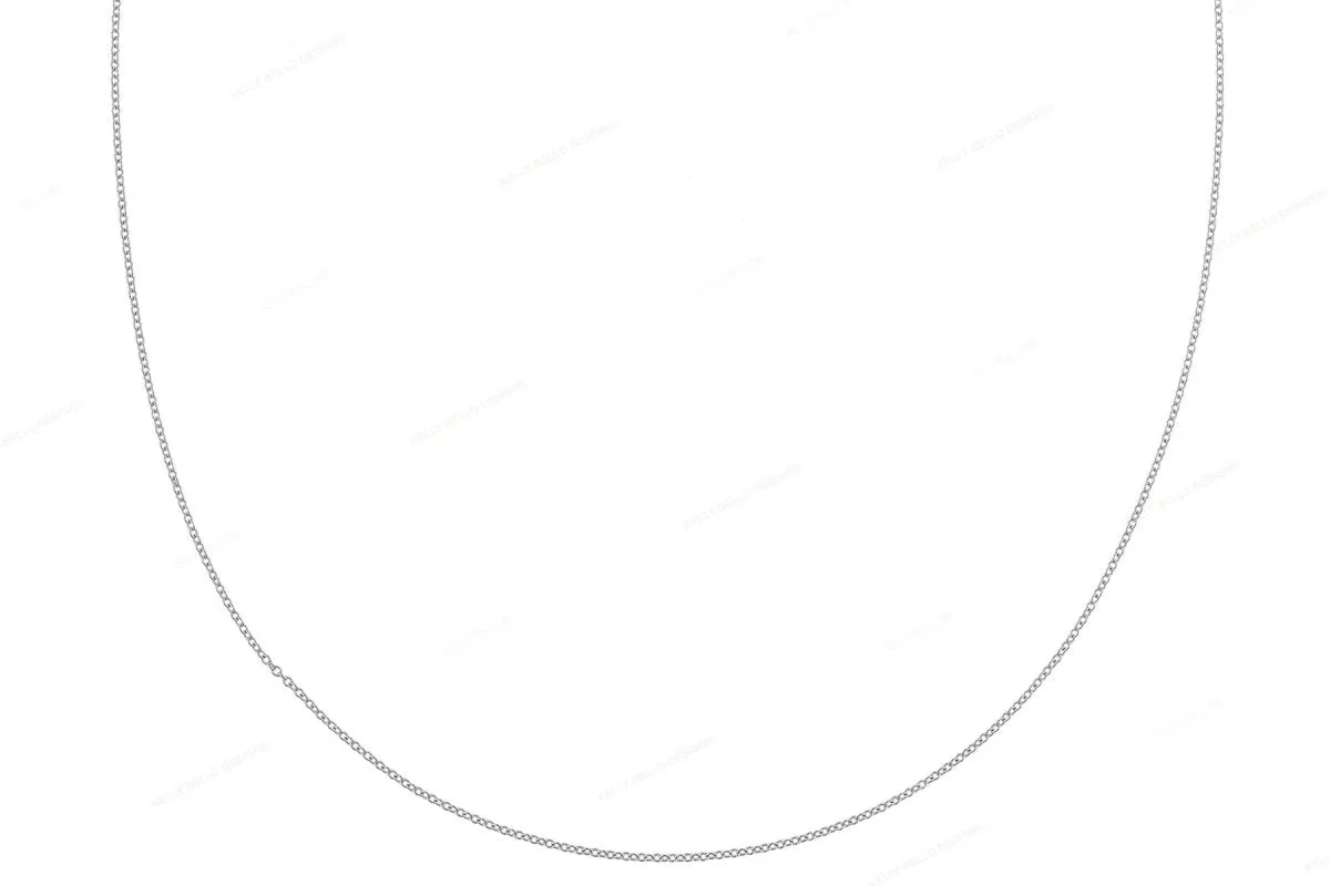 Basic Chain Necklace