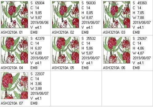 Protea Harmony Decorative Pillow Designs